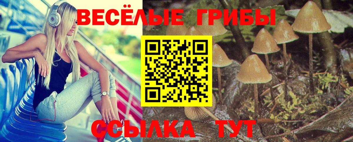 Соликамск  Галлюциногенные грибы Cubensis  Вход с VPN 